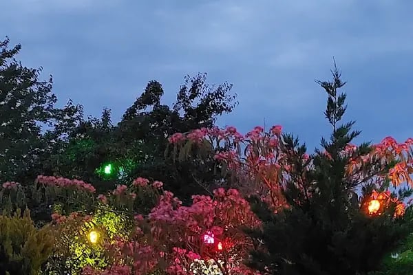Saklı koy Camping - Resim 2