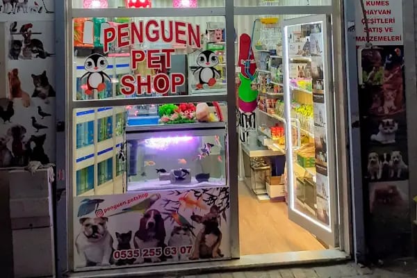 Lâ'L Petshop - Resim 2