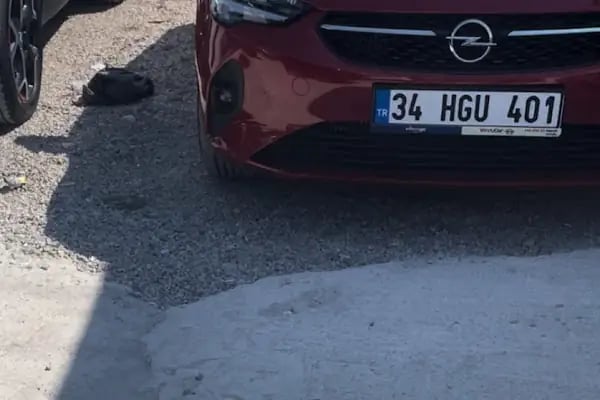 Windycar Rental Antalya - Resim 20