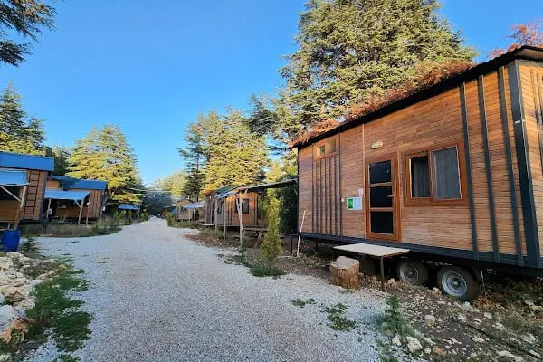 Cedrus life kamp ve karavan alanı - Resim 1