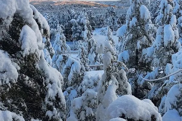 Cedrus life kamp ve karavan alanı - Resim 7