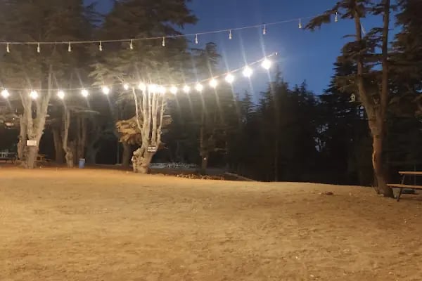 Cedrus life kamp ve karavan alanı - Resim 14