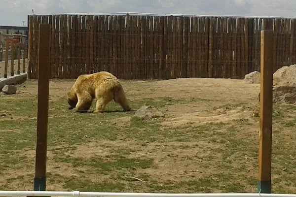 Kayseri Büyükşehir Belediyesi Sukaypark - Resim 18