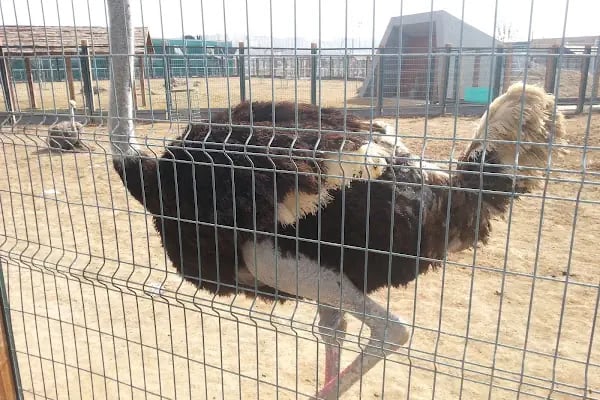 Kayseri Büyükşehir Belediyesi Sukaypark - Resim 14