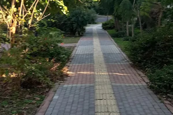 Alanya Belediyesi Şehit Ömer Halisdemir Parkı - Resim 4
