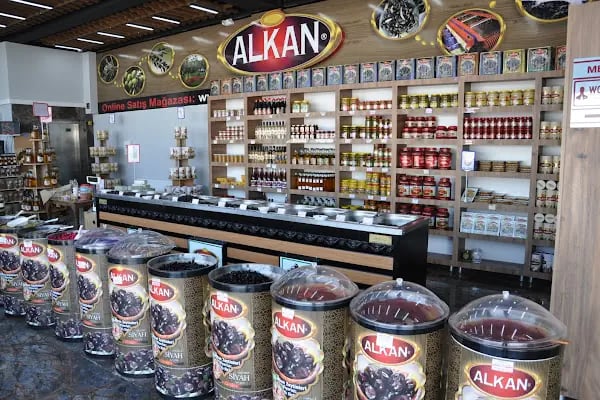 Alkan Zeytin Gemlik Zeytini ve Gemlik Zeytinyağı - Resim 13