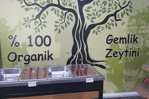 Alkan Zeytin Gemlik Zeytini ve Gemlik Zeytinyağı - Resim 7