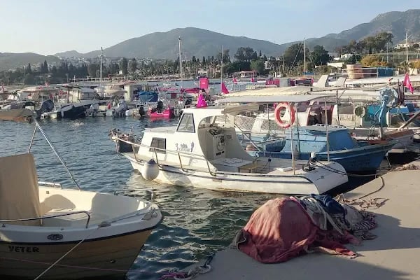 Gumbet Belediye Cafe - Resim 7