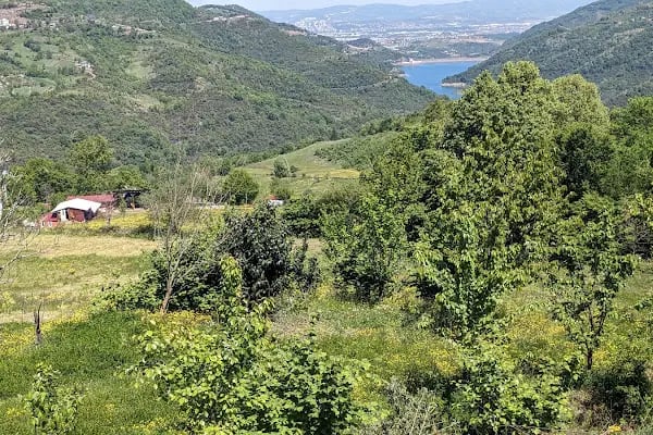 Mavi Kayalar Restoran - Resim 7