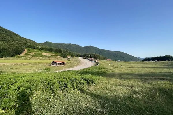 Suadiye Tabiat Parkı - Resim 4
