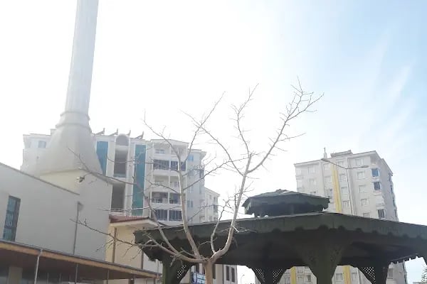 Mehmet Ziylan Camii - Resim 1