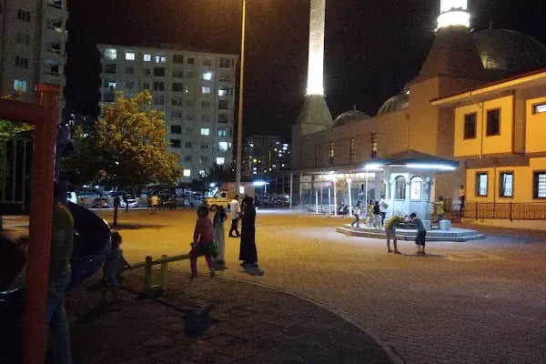Mehmet Ziylan Camii - Resim 18