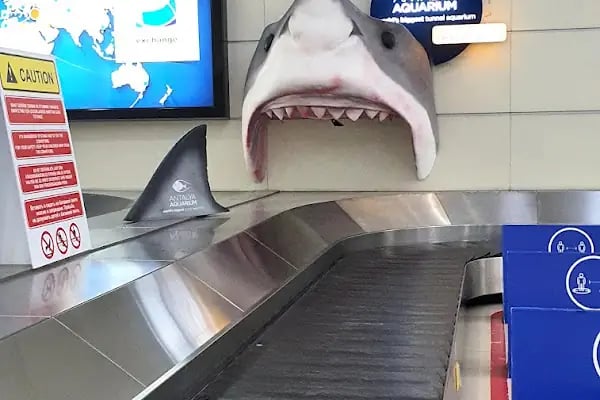 Antalya Havalimanı Gümrük Müdürlüğü - Resim 6