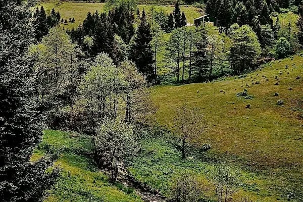 Hıdırnebi Yaylası - Resim 20