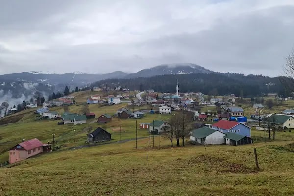 Hıdırnebi Yaylası - Resim 2