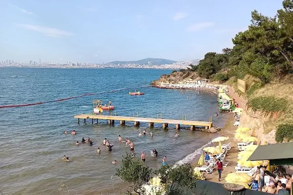 Değirmenburnu Tabiat Parkı (Mesire Yeri) - Resim 18