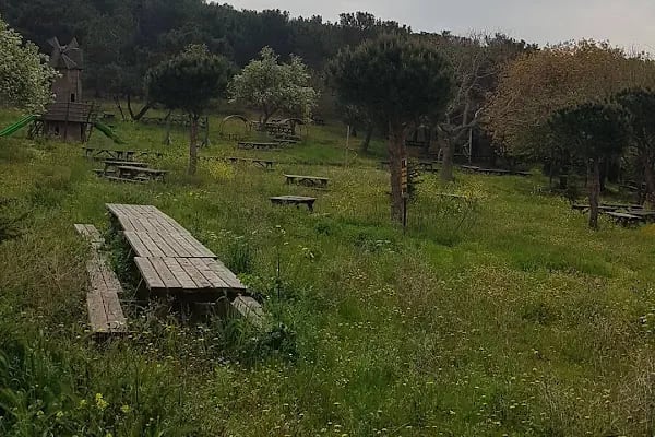 Değirmenburnu Tabiat Parkı (Mesire Yeri) - Resim 15