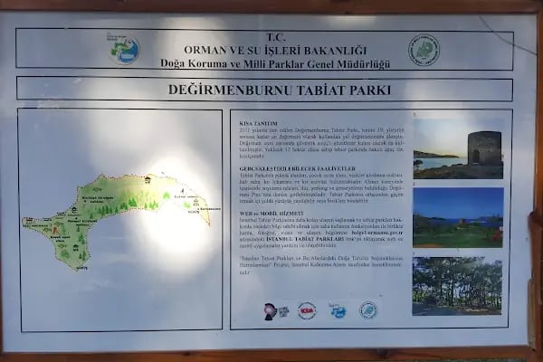 Değirmenburnu Tabiat Parkı (Mesire Yeri) - Resim 16