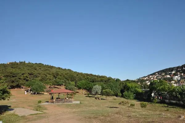 Değirmenburnu Tabiat Parkı (Mesire Yeri) - Resim 8