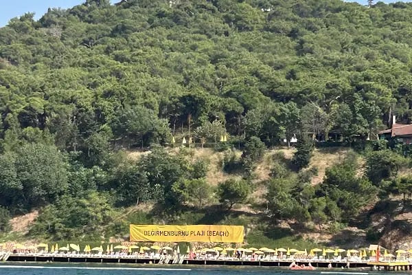 Değirmenburnu Tabiat Parkı (Mesire Yeri) - Resim 14