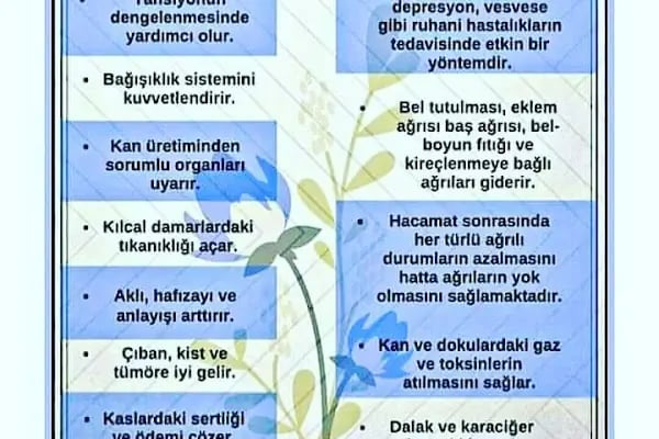 altunbaşak hacamat - Resim 6
