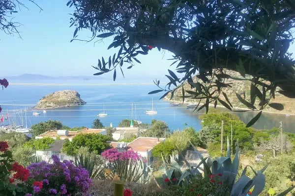 Bitez Cafe &amp; Restaurant - Bodrum Belediye A.Ş. - Resim 18