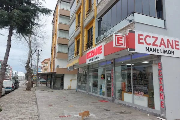 NANE LİMON ECZANESİ - Resim 4