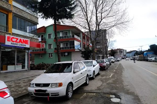 NANE LİMON ECZANESİ - Resim 5