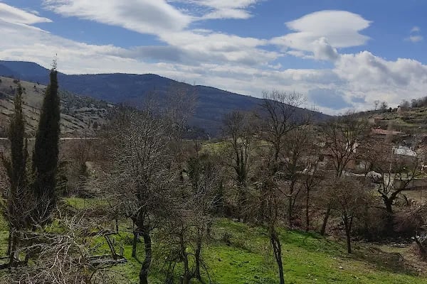 Sarnıç İlköğretim Okulu - Resim 8