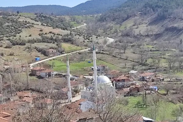 Sarnıç İlköğretim Okulu - Resim 15