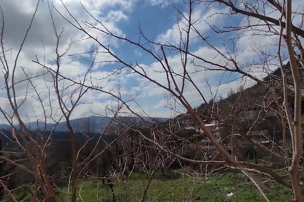 Sarnıç İlköğretim Okulu - Resim 14