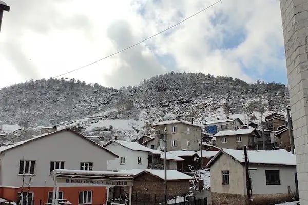 Sarnıç İlköğretim Okulu - Resim 7