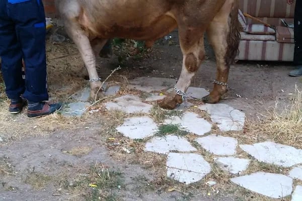 Şehit Eren Bülbül Parkı - Resim 12