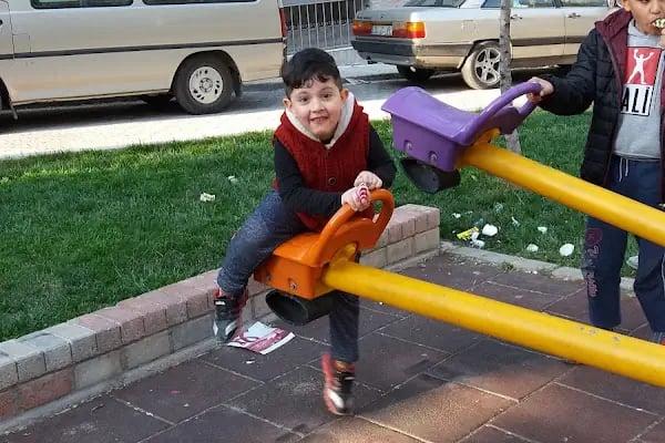 Şehit Eren Bülbül Parkı - Resim 17