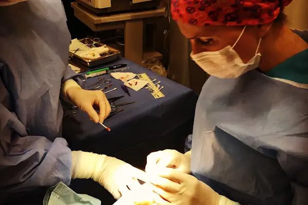 Op.Dr.Şeyda Atabay Özel Kliniği - Resim 7