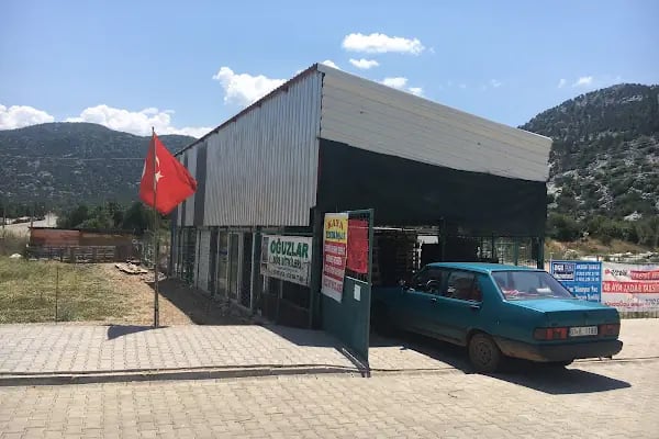 Oğuzlar Süs Bitkileri - Resim 4