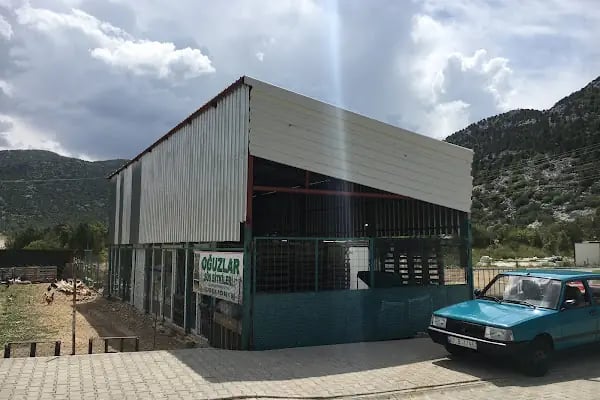 Oğuzlar Süs Bitkileri - Resim 2