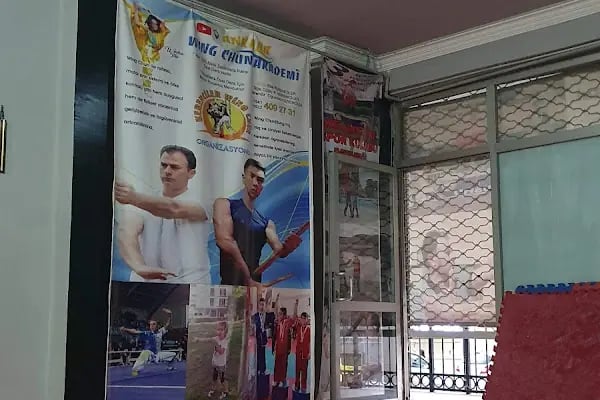 ANKARA WING CHUN AKADEMİSİ - Resim 17