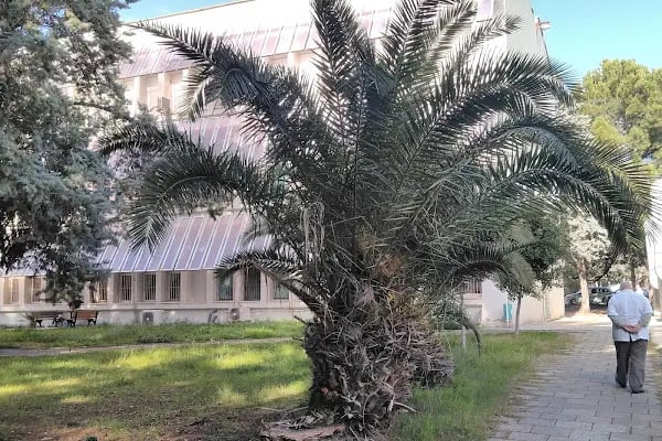 Çukurova Üniversitesi Tıp Fakültesi - Resim 14