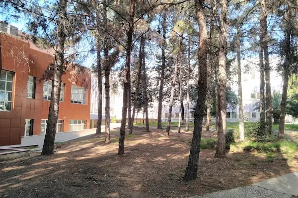Çukurova Üniversitesi Tıp Fakültesi - Resim 2