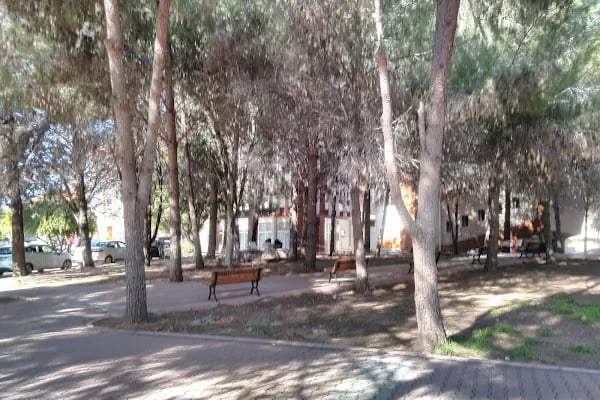 Çukurova Üniversitesi Tıp Fakültesi - Resim 4