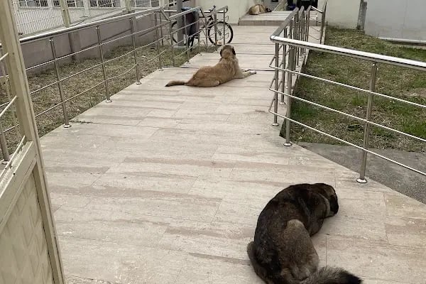 Çukurova Üniversitesi Tıp Fakültesi - Resim 15