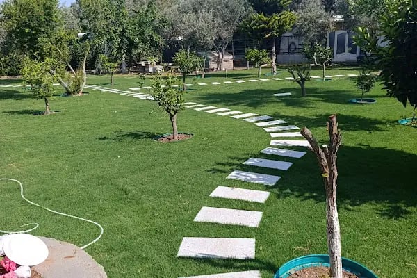 Bodrum Hazır Çim - Resim 11