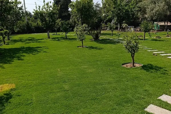Bodrum Hazır Çim - Resim 8