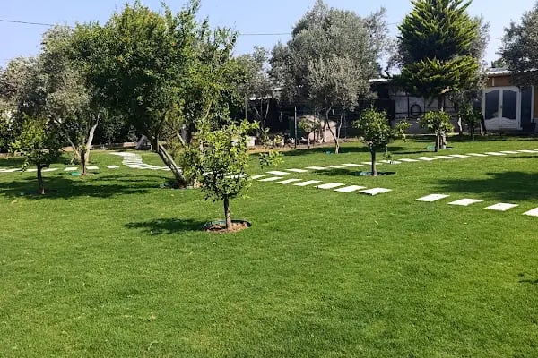 Bodrum Hazır Çim - Resim 2