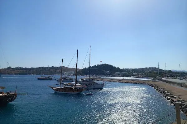 Bodrum müzesi kahvesi - Resim 12