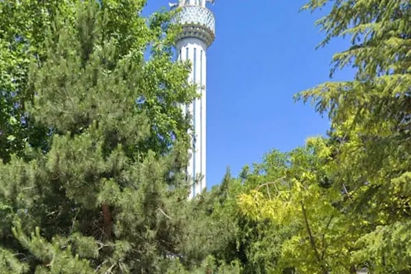 Adsız Kasabası Merkez Cami - Resim 3