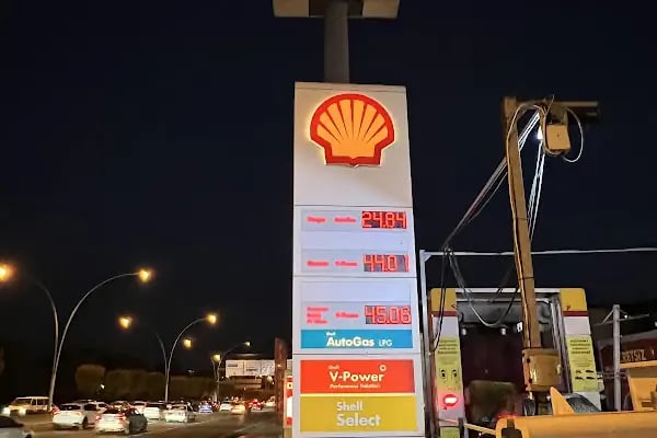 Shell Baydar - Resim 5