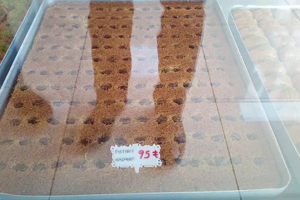 Alp Pastanesi Afşin - Resim 14