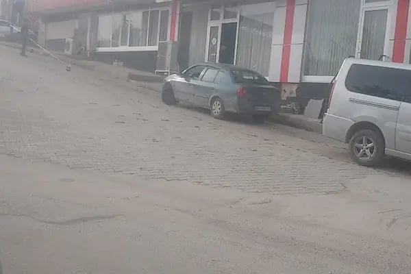 Alp Pastanesi Afşin - Resim 17